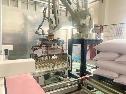 泖港粮库完成设备改造提升工程，实现全流程自动化